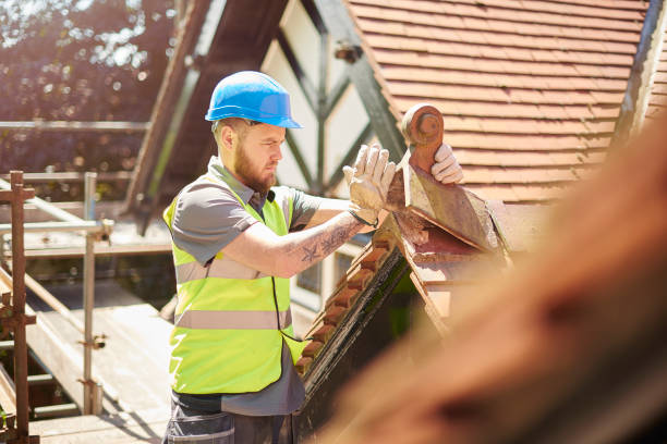 Best Roof Gutter Cleaning  in Silver Lake, NC